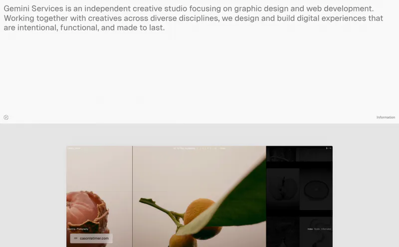 Gemini Services website